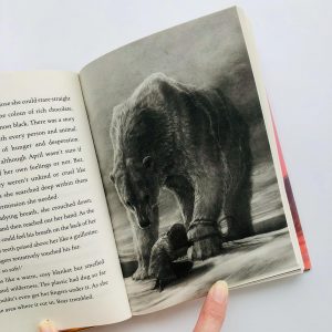 the last bear hannah gold the last bear hannah gold