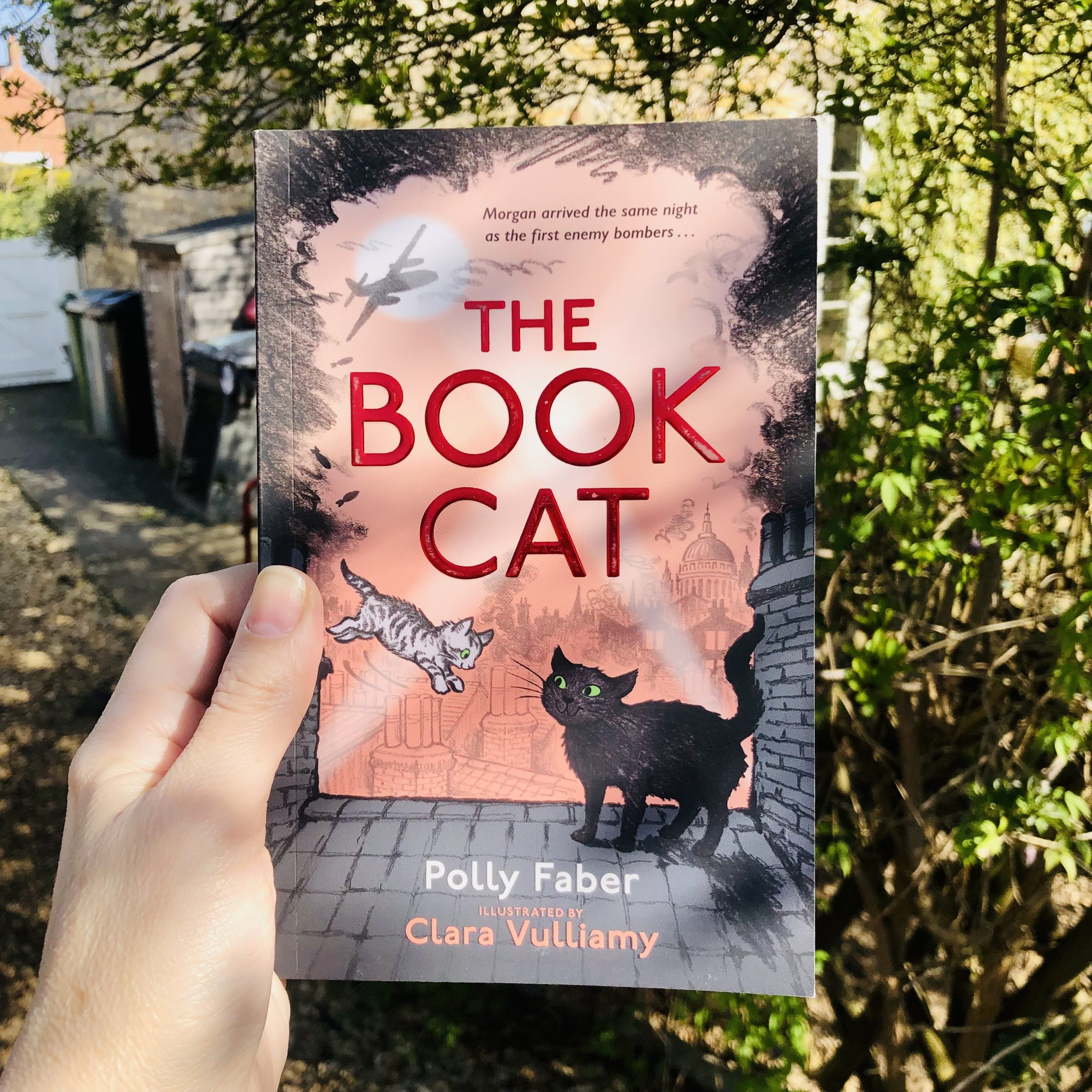 The Book Cat by Polly Faber